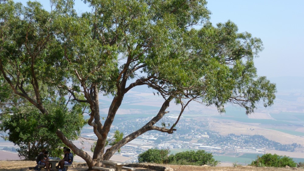 Berg Galilea